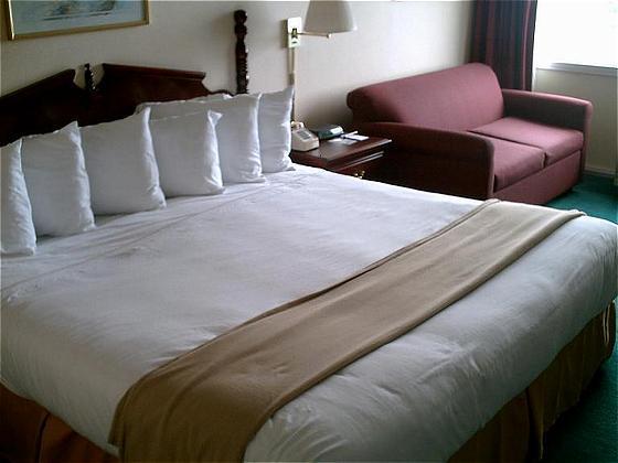 Econo Lodge Inn & Suites Triadelphia - Wheeling Room photo